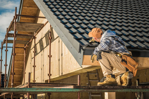 Roof Gutter Cleaning in Beecher, IL