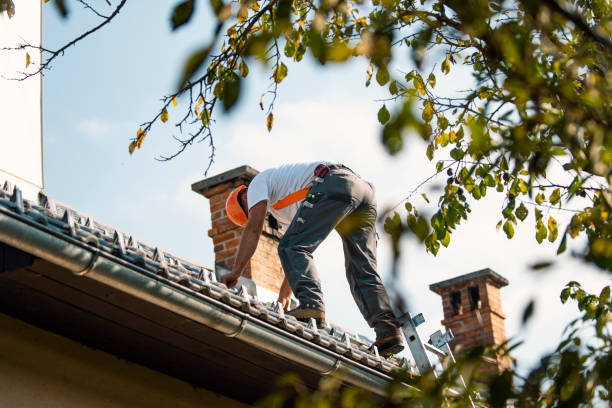 Best Commercial Roofing Services  in Beecher, IL