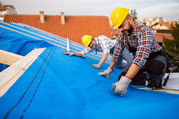 Best Storm Damage Roof Repair  in Beecher, IL